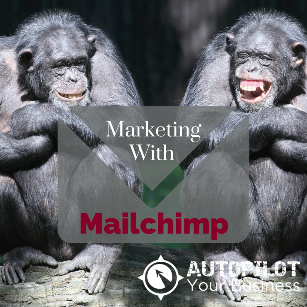 Marketing Automation How To Use MailChimp